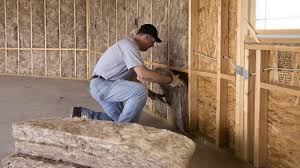 Best Weatherproofing Services  in Emory, TX